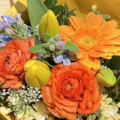 Arrangement(￥3,300)